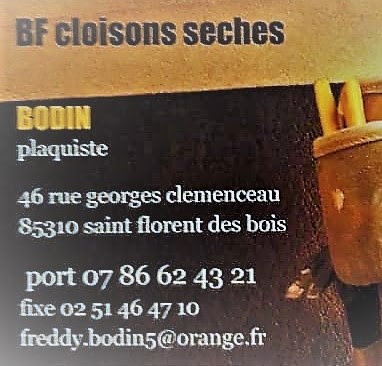 Bf Cloisons Seches /Plaquiste / Intervient Sur Toute La Vendée, Plâtrier - Plaquiste à Rives de l'Yon