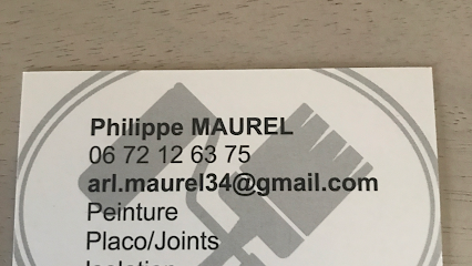 Plaquiste Arlmaurel Plâtrier - Plaquiste à Vias