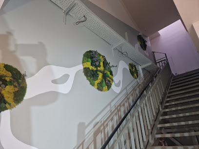 Dekoz Plâtr­erie Plâtrier - Plaquiste à Weitbruch